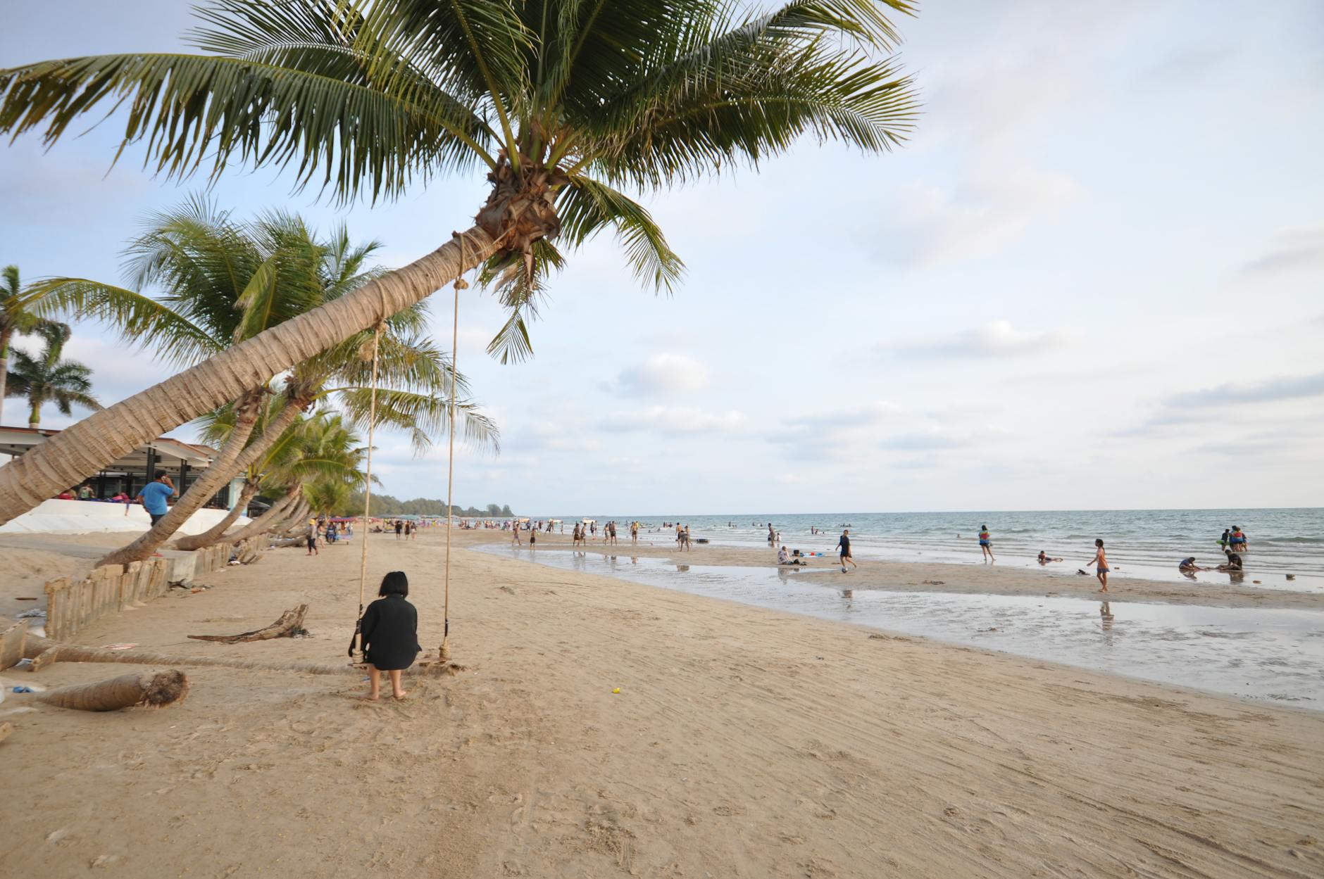Ludzie odpoczywający nad morzem na piaszczystej plaży z palmami i huśtawką