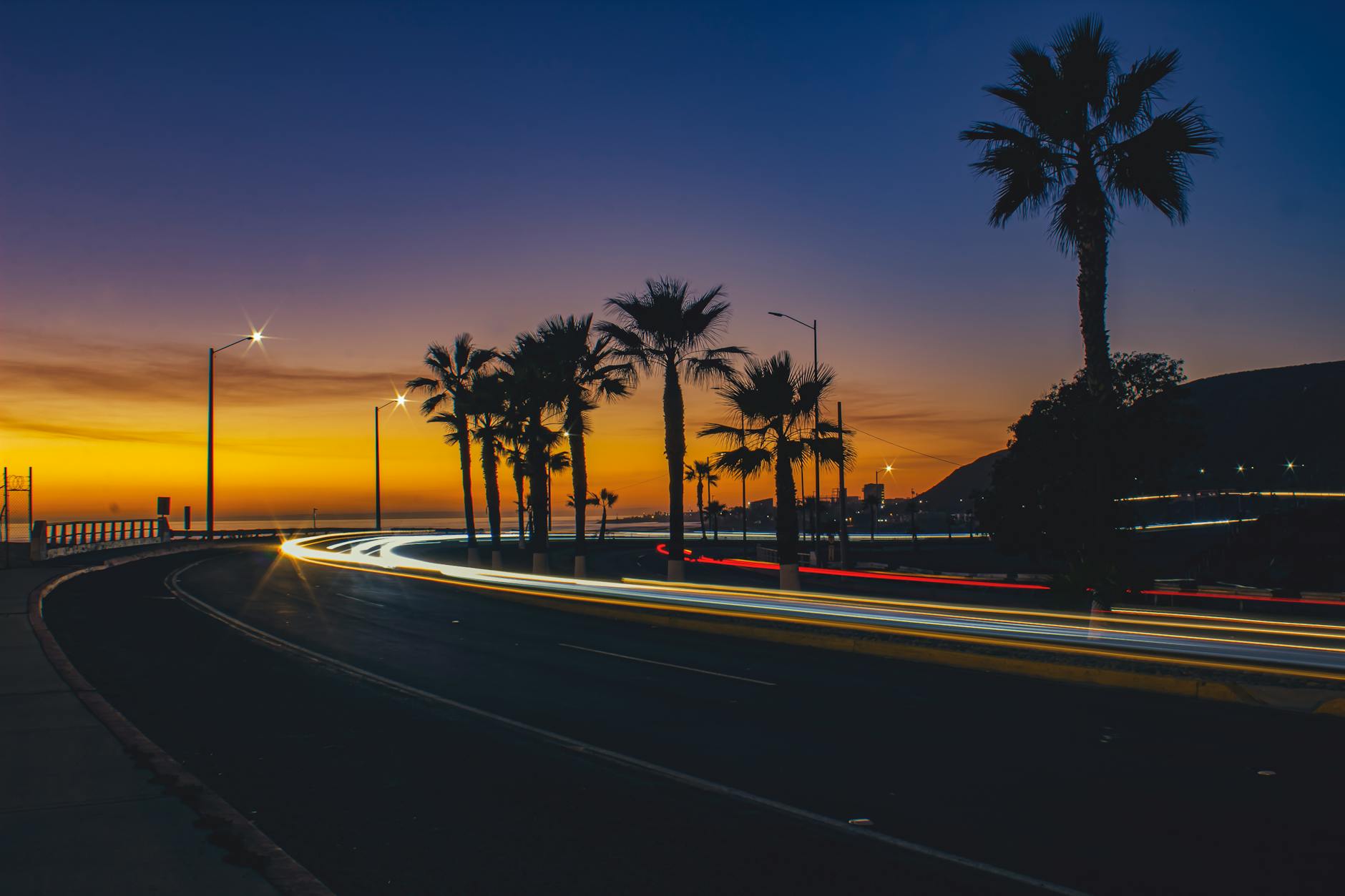 Nadmorska droga o zachodzie słońca z palmami i świetlnymi smugami aut