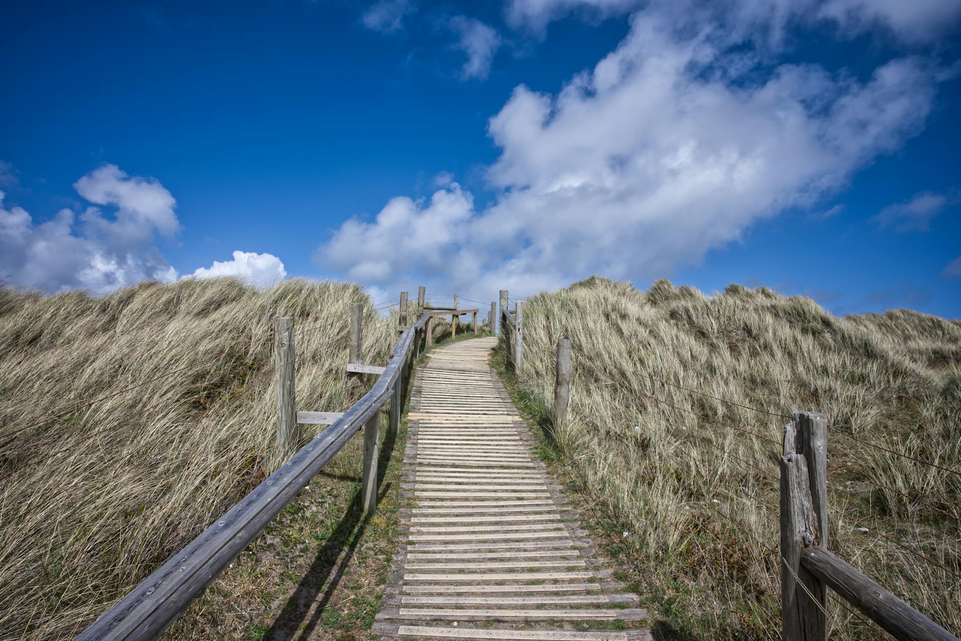 Drewniana kładka wśród nadmorskich wydm w słoneczny dzień