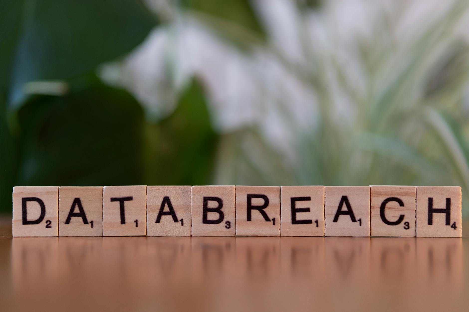 Klocki Scrabble układające się w napis data breach na rozmytym tle Klocki Scrabble układające się w napis data breach na rozmytym tle