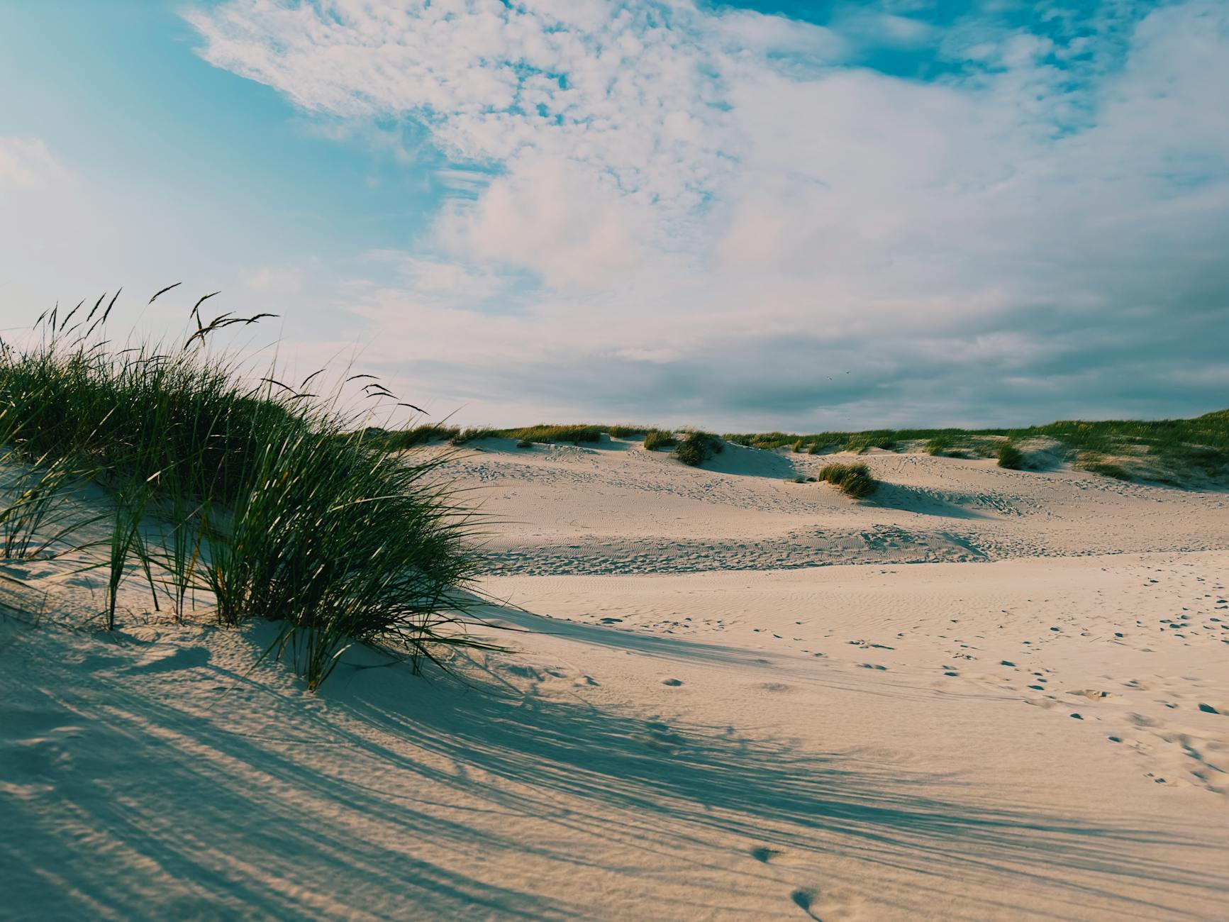 Słoneczne wydmy nadmorskie w Grzybowie z widokiem na piaszczystą plażę