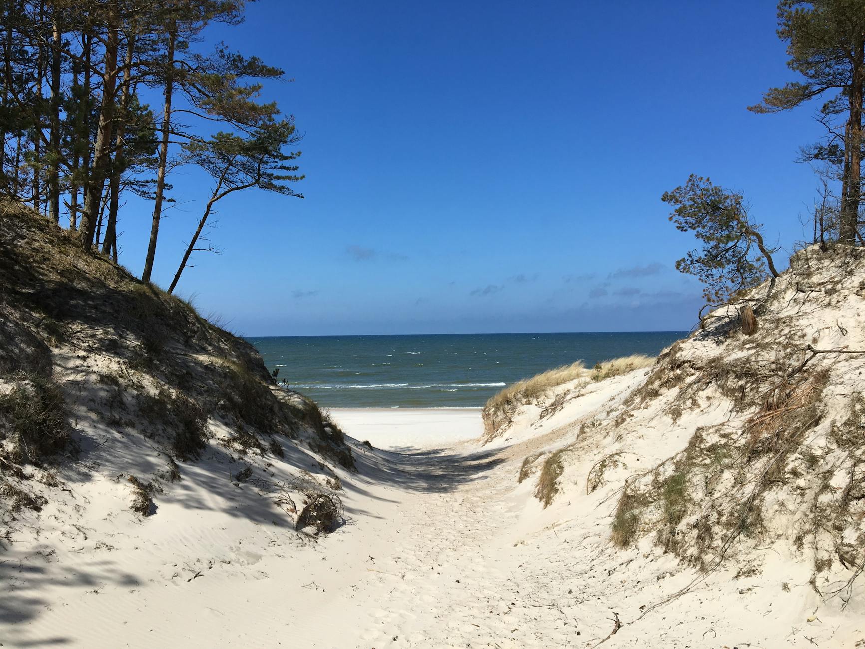 Szeroka plaża w Łebie z piaszczystymi wydmami i błękitnym niebem